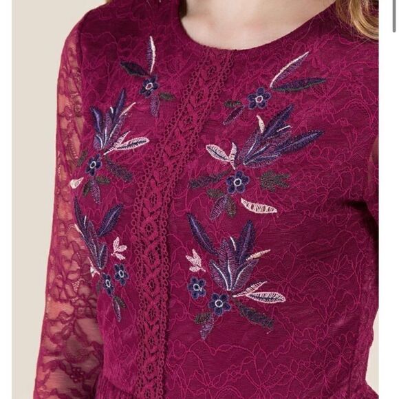 Francesca’s Reagan Embroidered Lace A-Line Dress - Picture 3 of 6